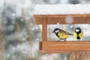 Vogelhäuschen
